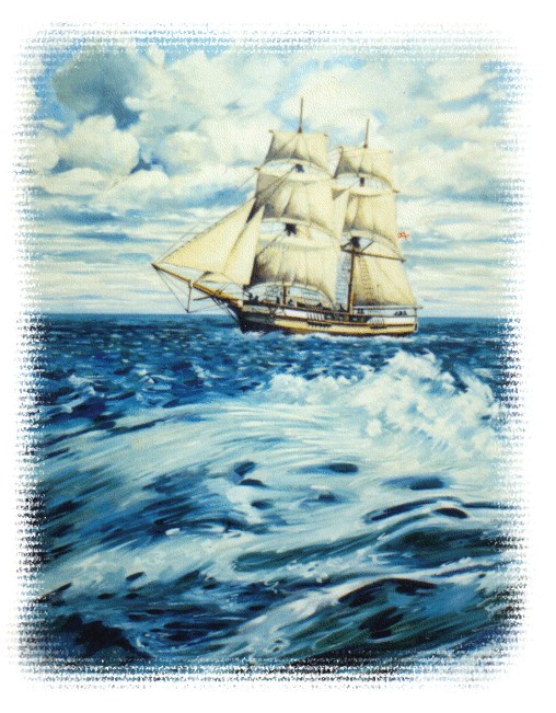 Lady Nelson - painting by Shaun Mather